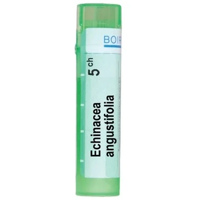ECHINACEA ANGUSTIFOLIA 5 CH