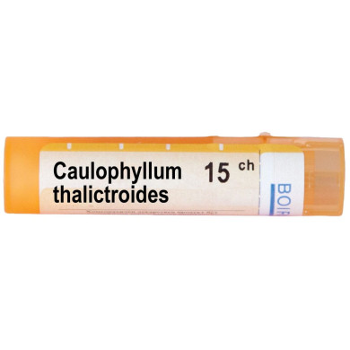 CAULOPHYLLUM THALICTROIDES 15 CH BOIRON
