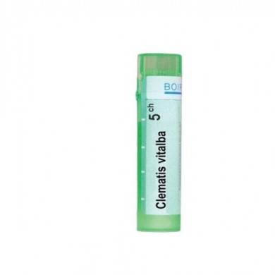 CLEMATIS VITALBA 5 CH